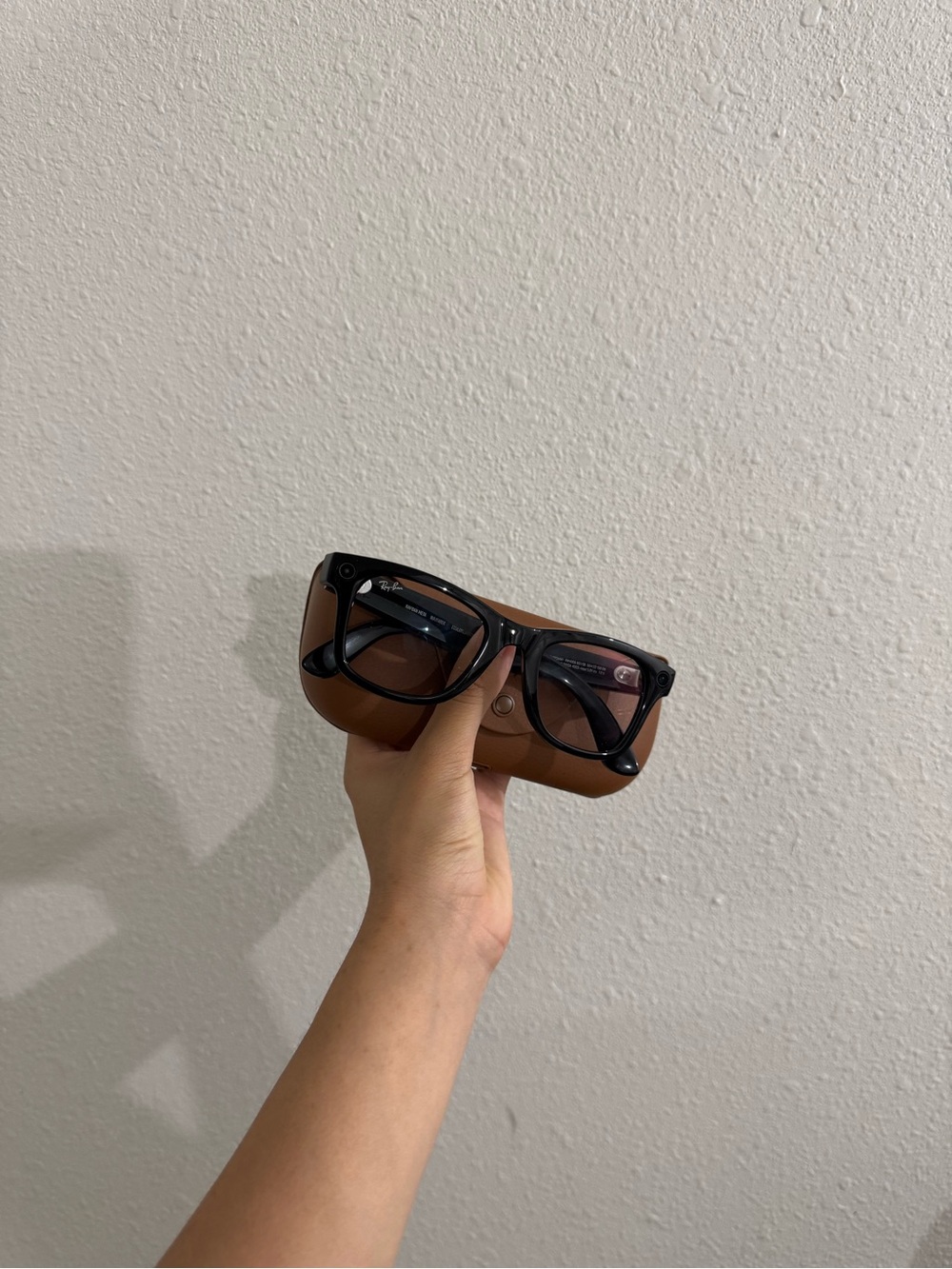 RayBan Meta AI Glasses